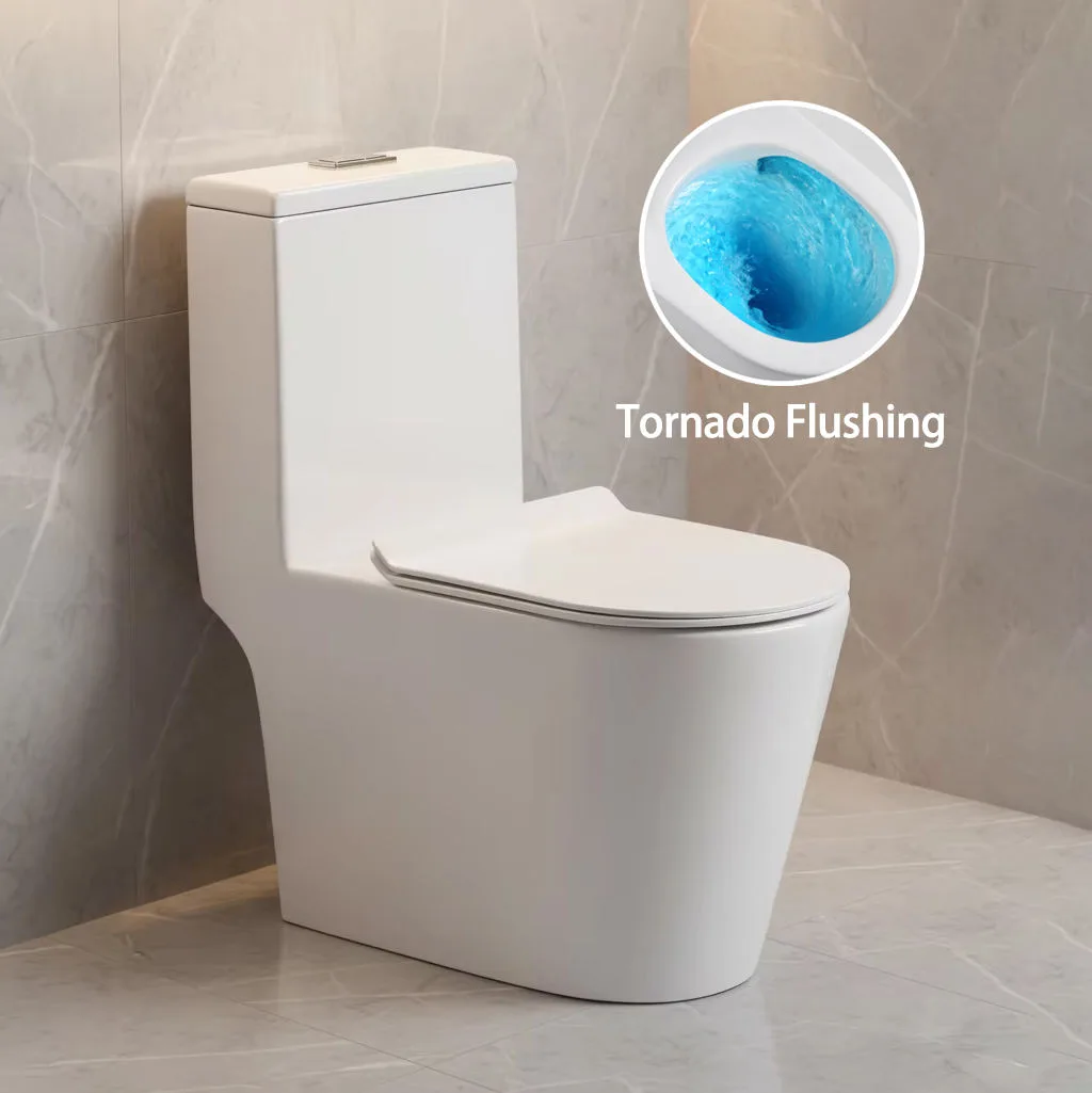 rimless one piece toilet