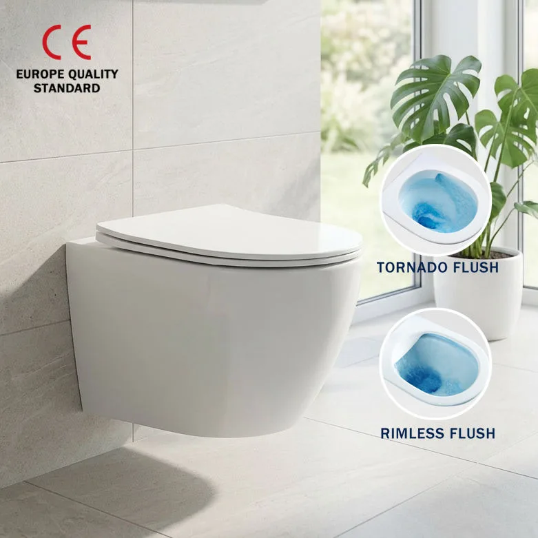 rimless wall hung toilet