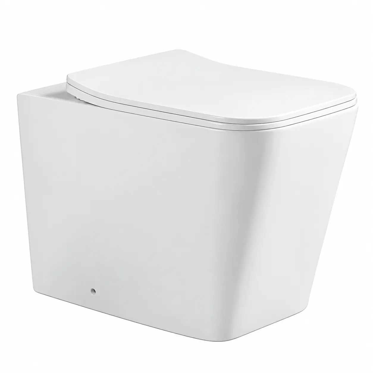 back to wall toilet