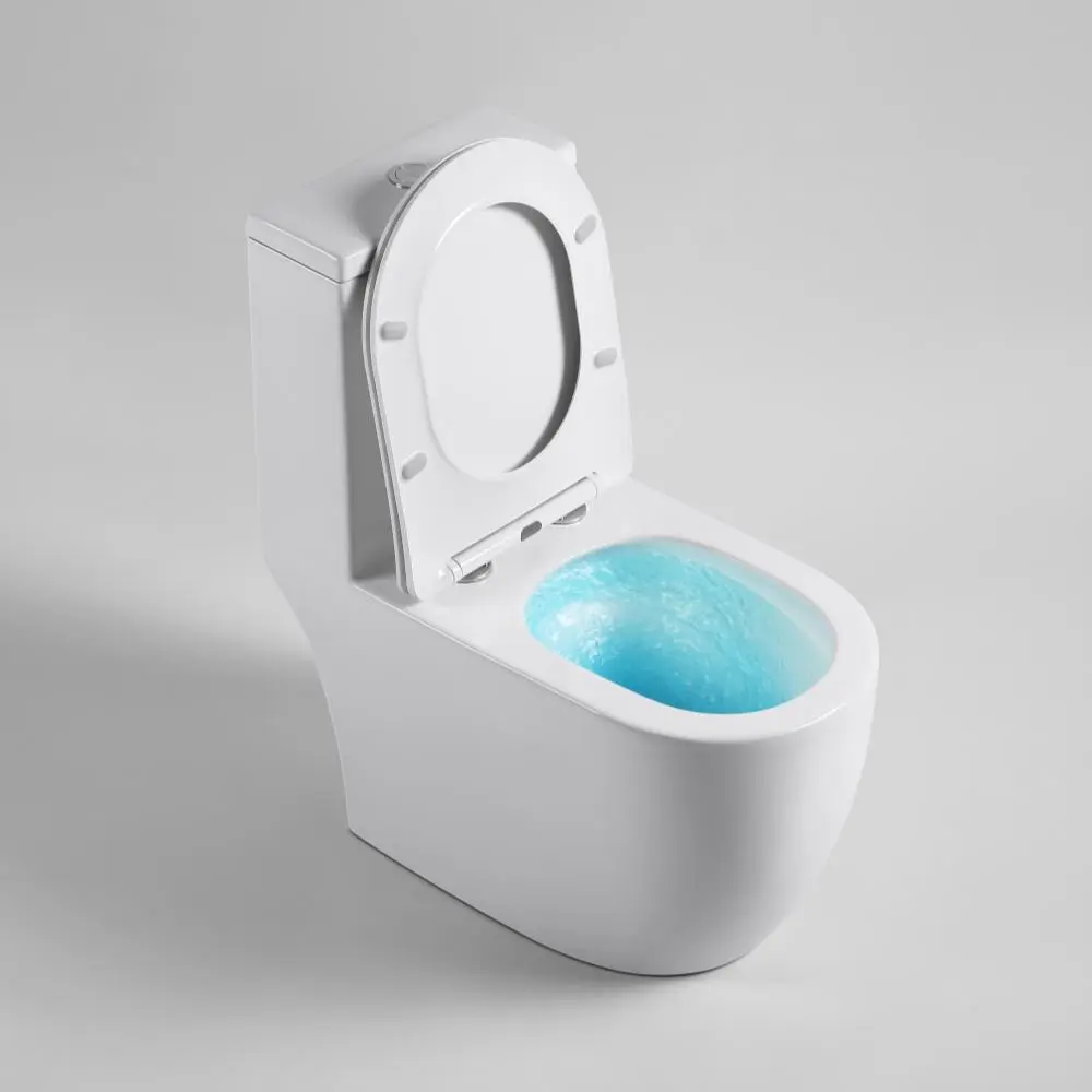 rimless toilet