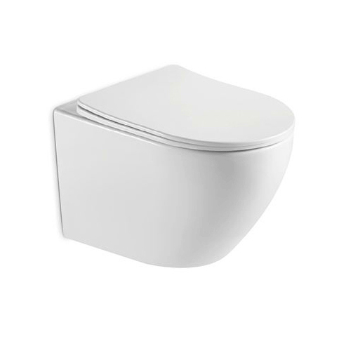 wall hung toilet