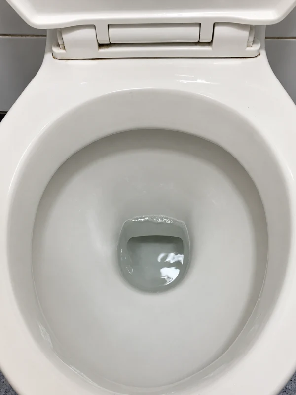 American toilet water seal
